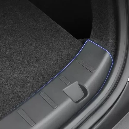 Car door sill and carpet with a blue outline highlighting the edge of the threshold.